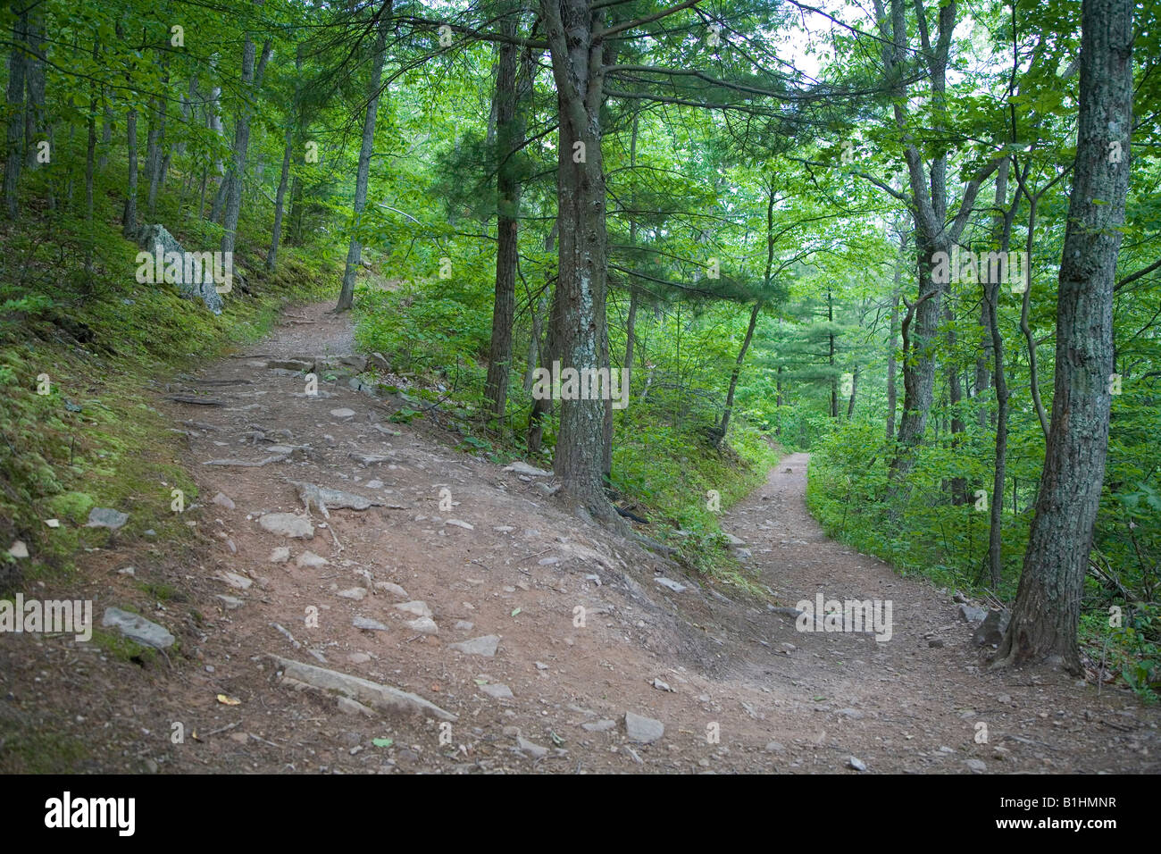 Seneca Rocks West Virginia The hiking trail to the top of Seneca Rocks