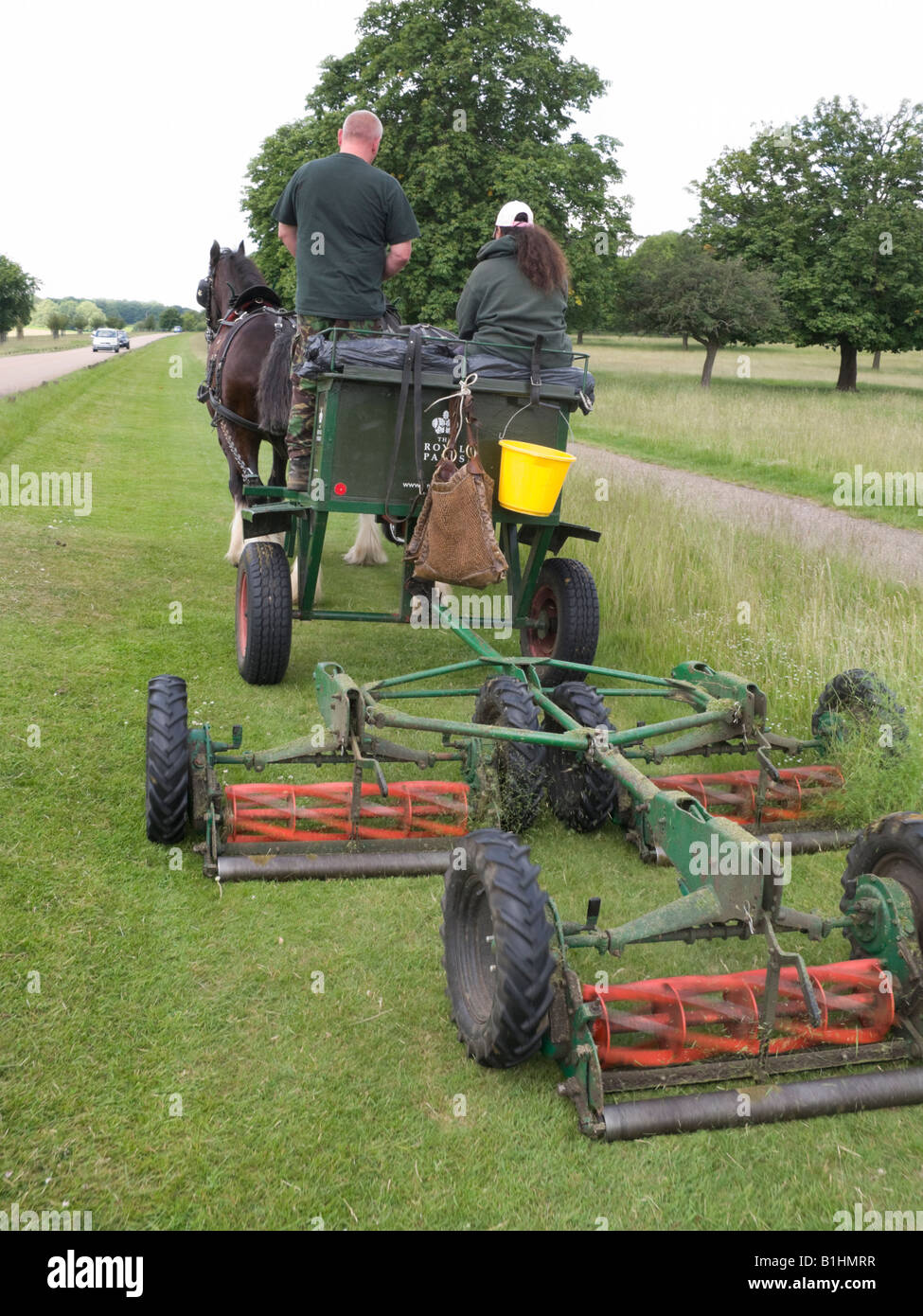Horse drawn lawn mower hires stock photography and images Alamy
