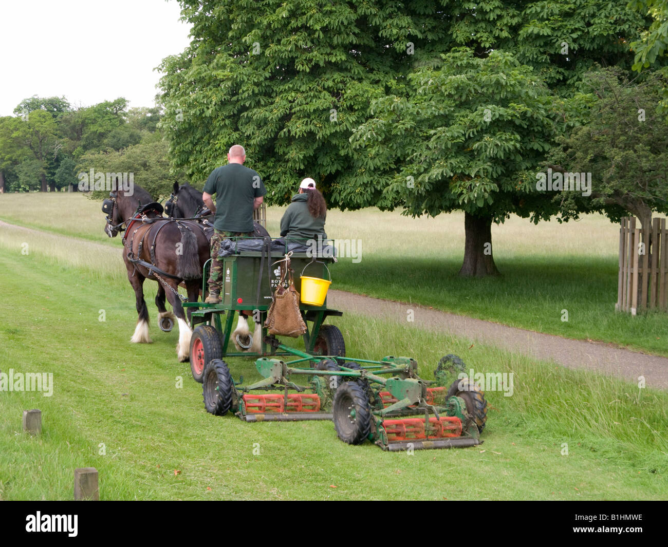 Horse Drawn Mower High Resolution Stock Photography and Images Alamy
