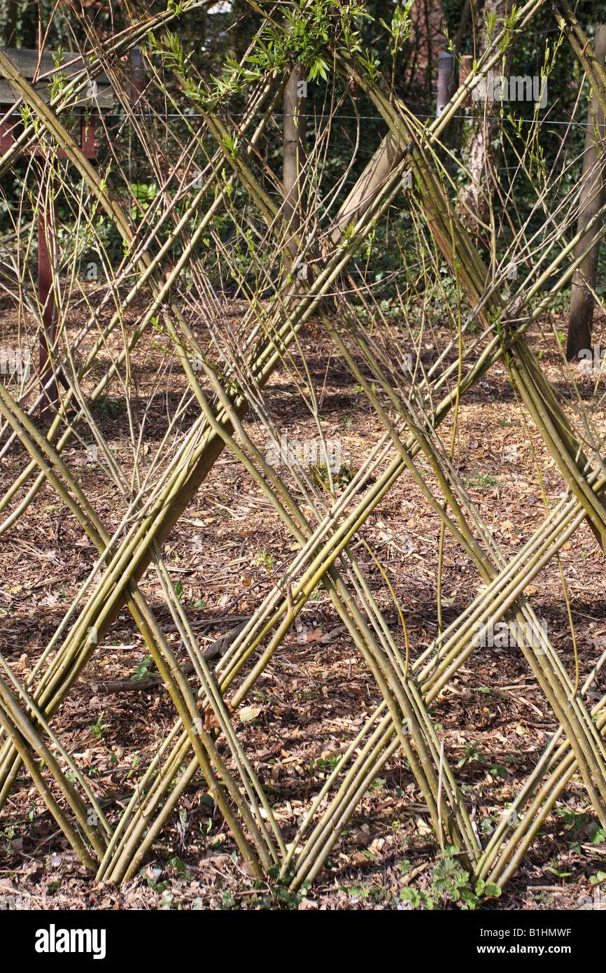 DECORATIVE WILLOW WEAVE MAKES STRONG AND ATTRACTIVE FENCE Stock Photo