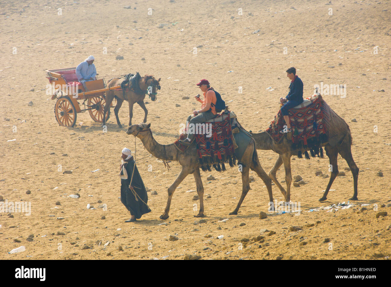 Someone Riding Camel Camels riding at pyramids desert hi-res stock photography and images ...