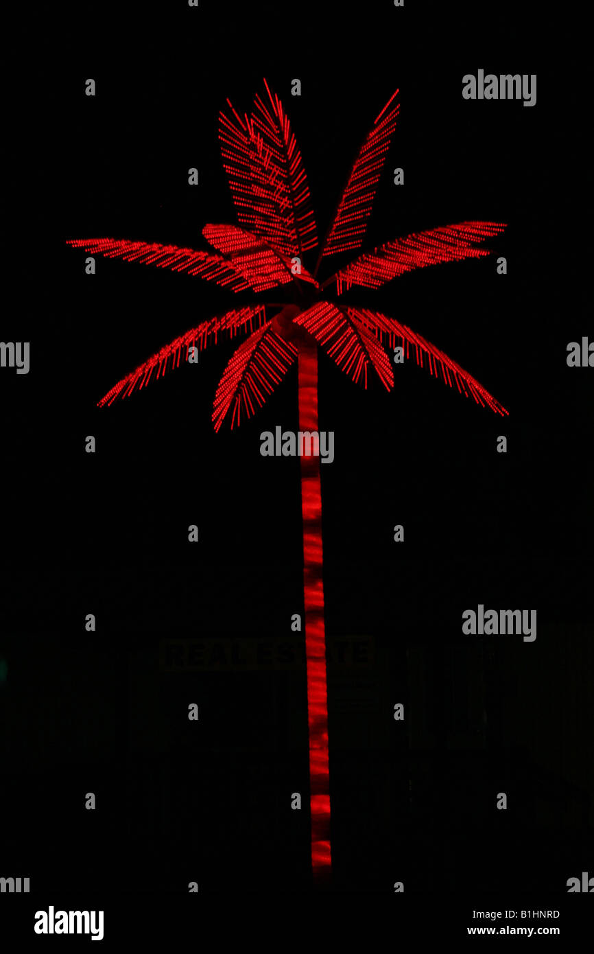Neon palm tree Stock Photo