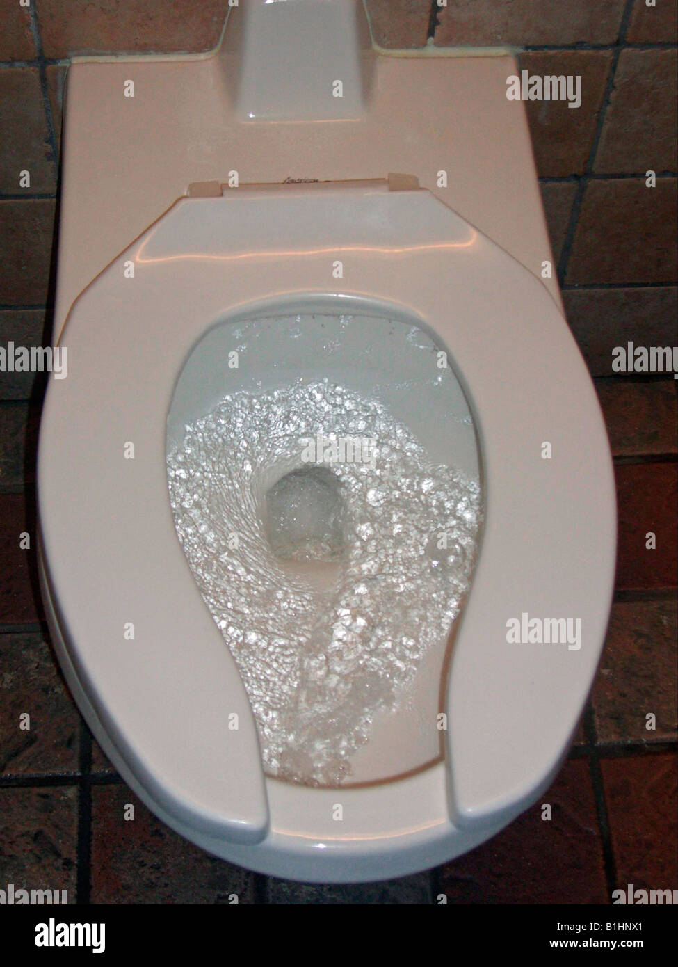 Toilet flushing high resolution stock photography and images alamy