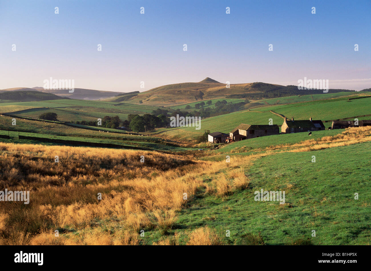 Houses on a landscape, Peak District, Derbyshire, England Stock Photo