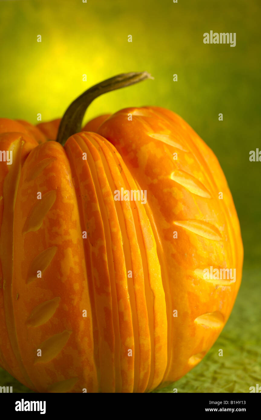 Pumkins with a carved pattern Stock Photo - Alamy