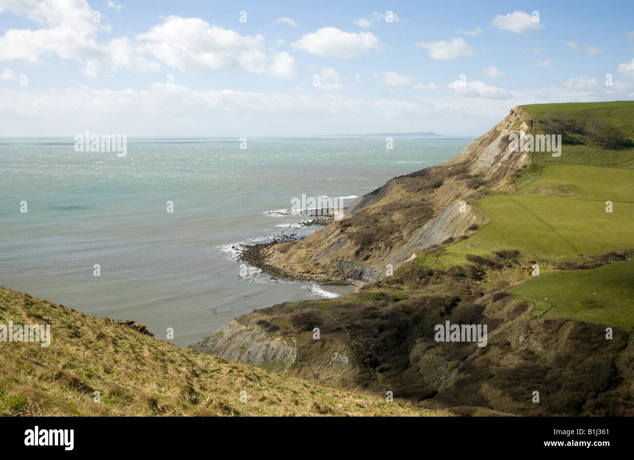 Houns Tout cliff above Chapman's Pool Purbeck Dorset UK Stock Photo