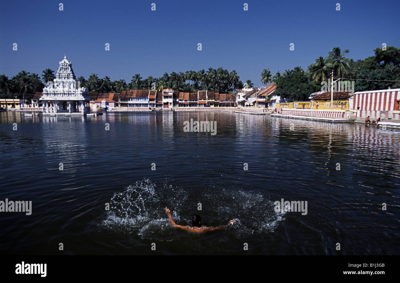 Man swimming in a pond of a temple, Thanumalayan temple, Suchindram, Tamil Nadu, India Stock Photo