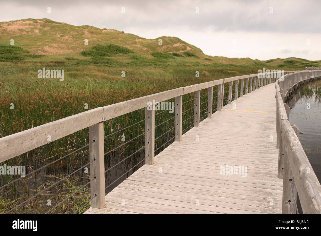 Boardwalk passing through a marshland, Greenwich, Prince Edward Island, Canada Stock Photo