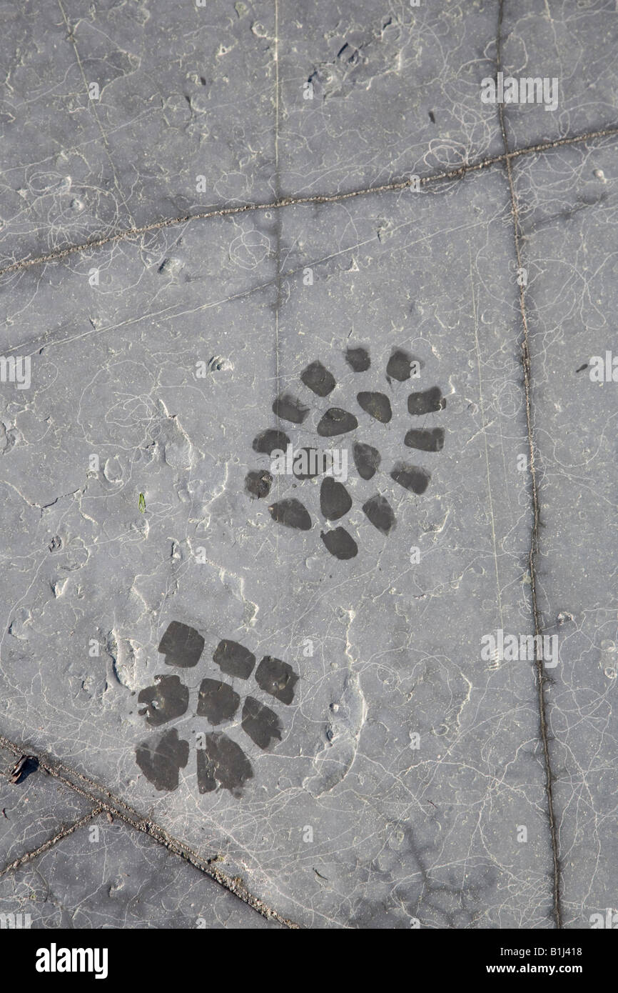 Left Boot Prints Left boot print on rock Kimmeridge Ledges Dorset UK Stock Photo - Alamy