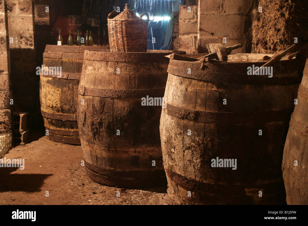 old wine casks Caves Dupres Touraine Loire Valley France Stock Photo