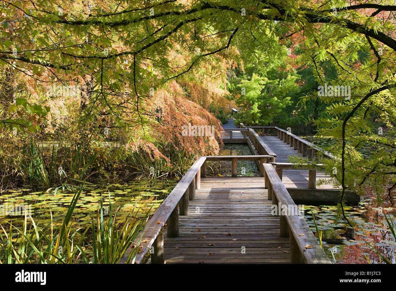 Van dusen botanical gardens vancouver Stock Photo