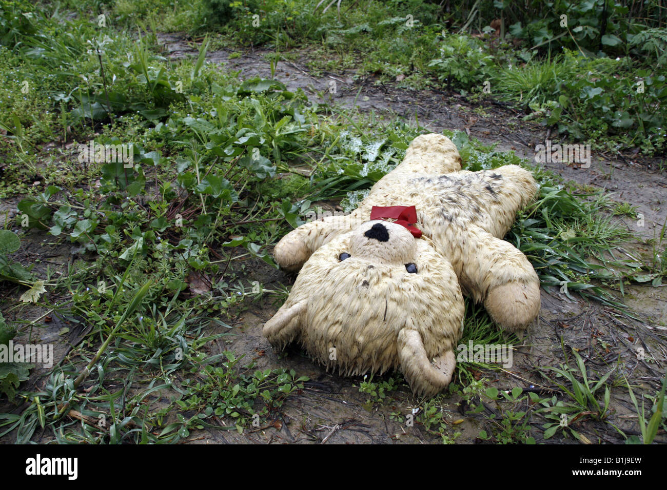 one dirty teddy bear left in long grass in field Stock Photo