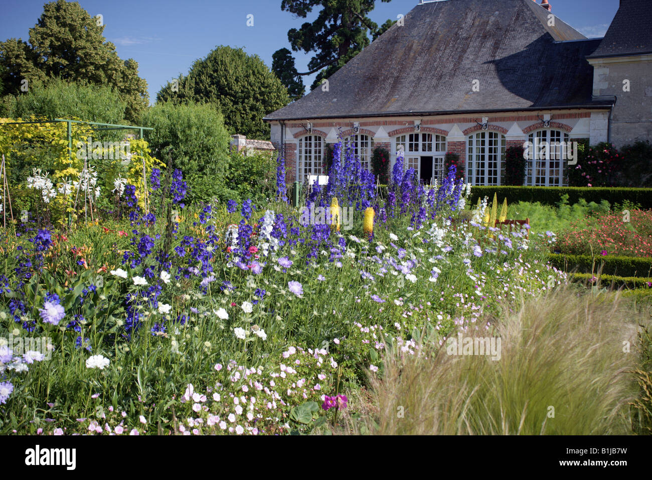 Flowers in the potager of the Chateau de Cheverny Touraine Loire Valley France Stock Photo