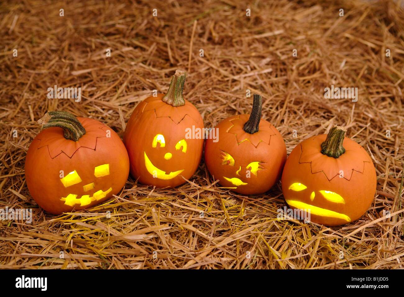 Close up of small Jack-O-Lanterns sitting in hay. Stock Photo