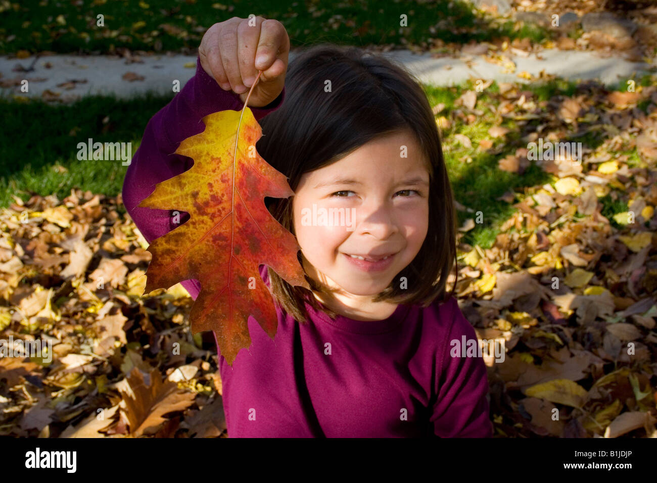 Young girl holds up oak leaf turning colors during Autumn in Idaho USA Stock Photo