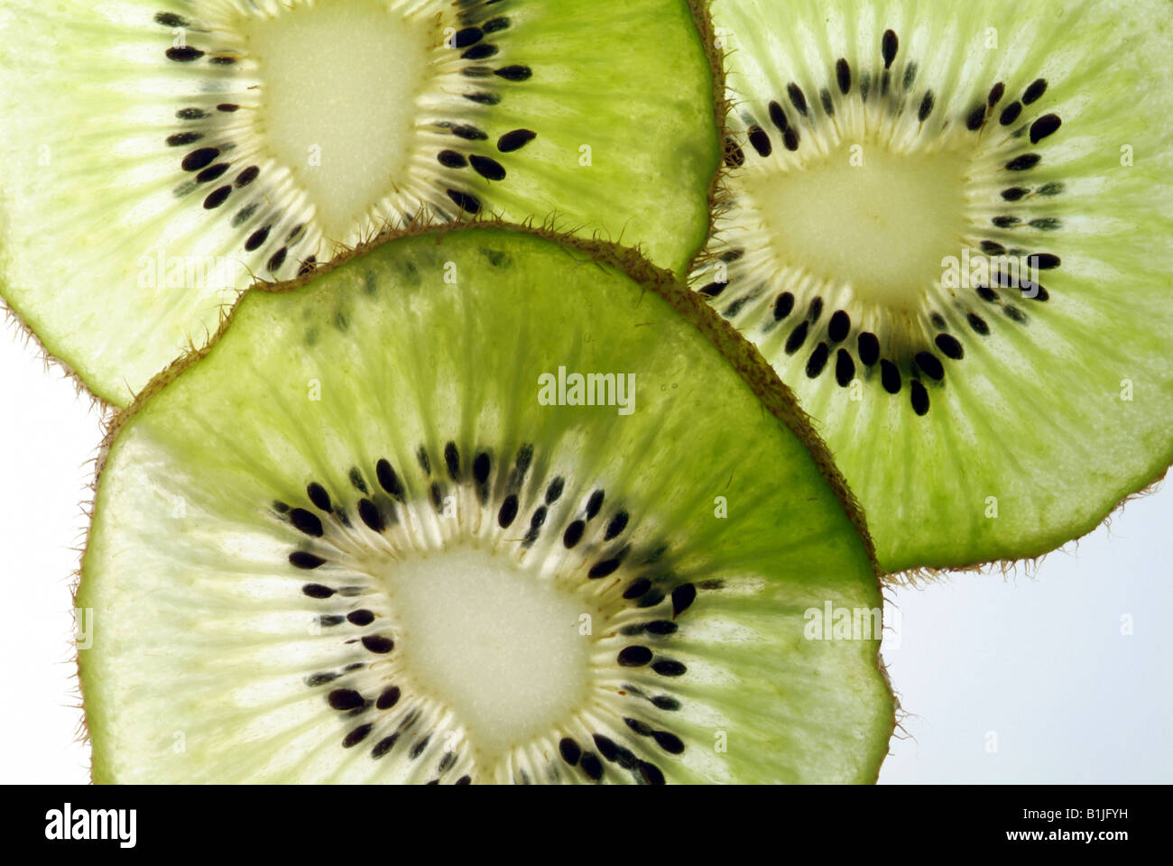 kiwi disk