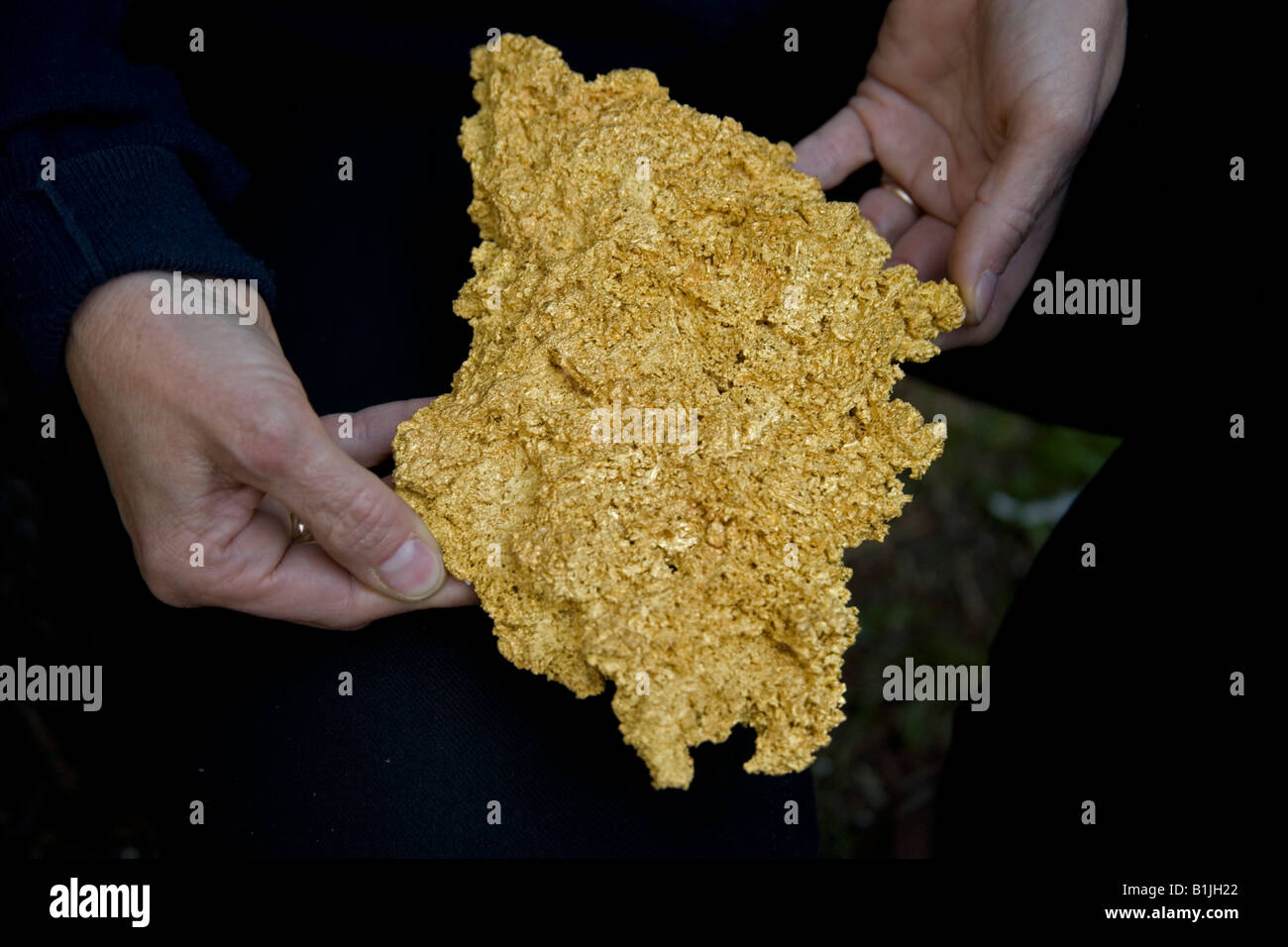 Crystalline Gold Specimen Western Australia Detail of 96 ounce gold