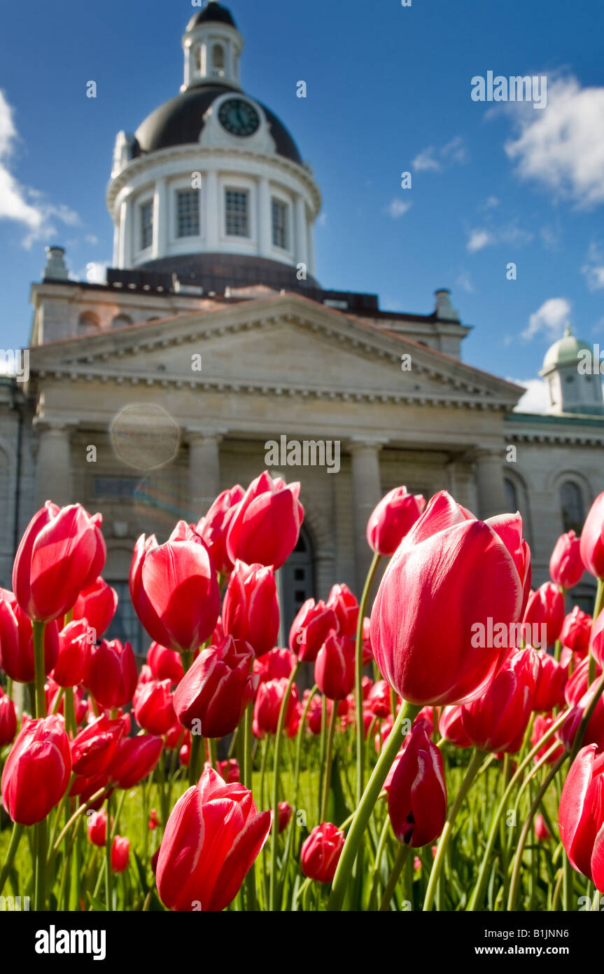 City Hall of Kingston, Ontario, Canada, with tulips infront Stock Photo