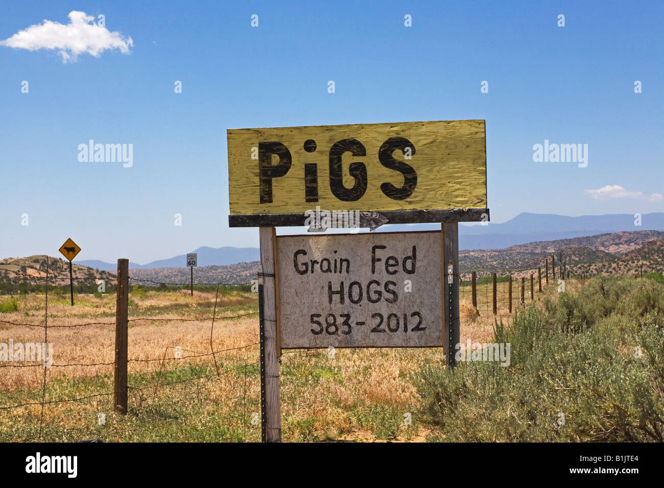 Pig sign with bird cloud Stock Photo