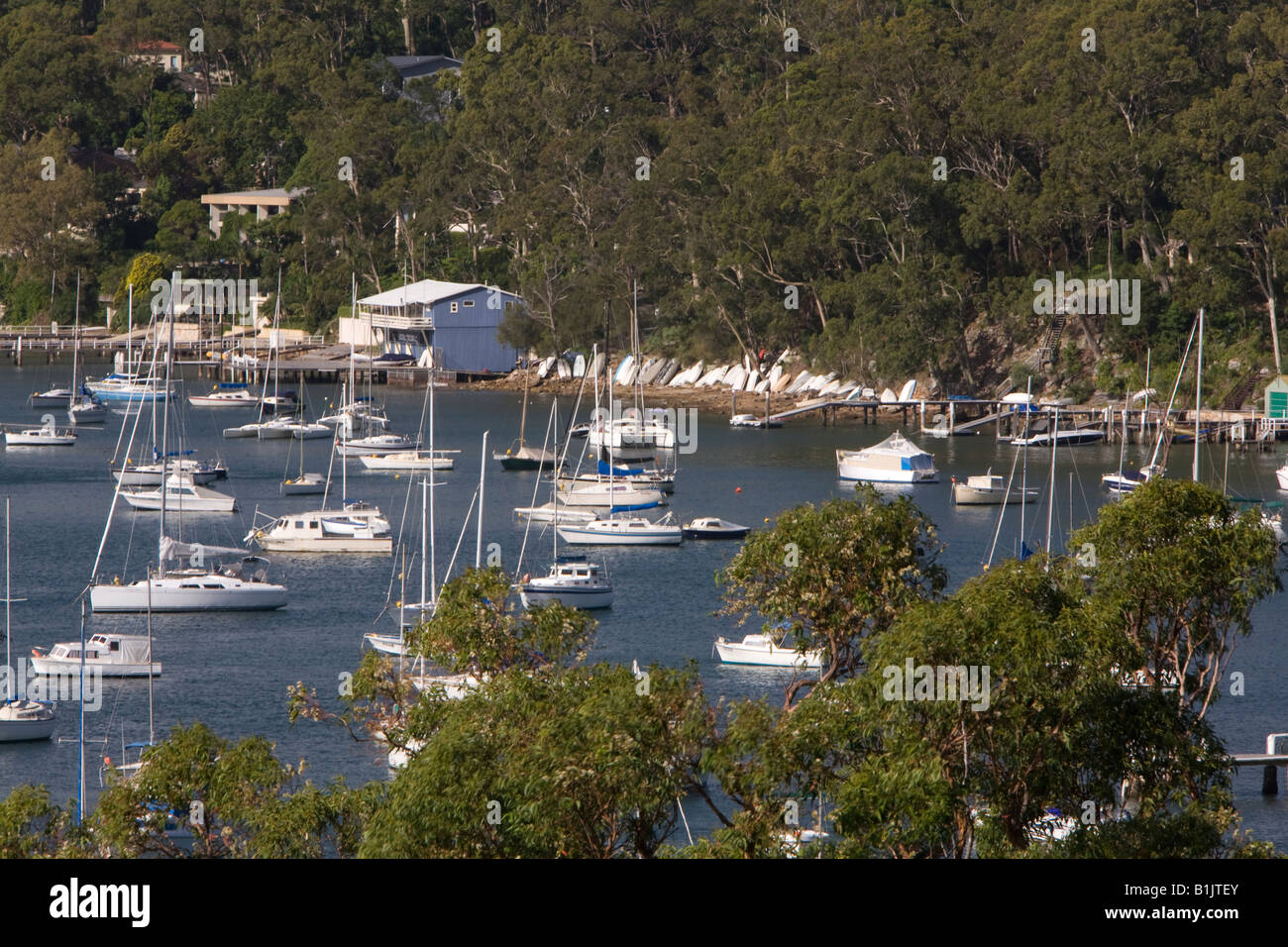 david bray yachts pittwater