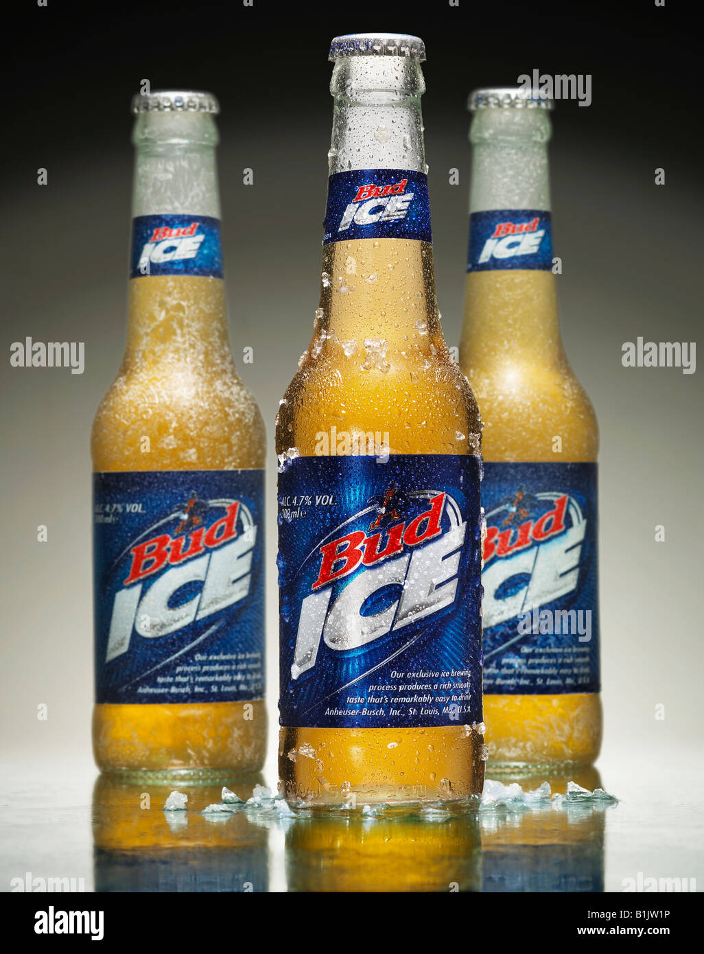 BUDWEISER BUD ICE BEER BOTTLES WITH FROST AND MELTING ICE Stock Photo