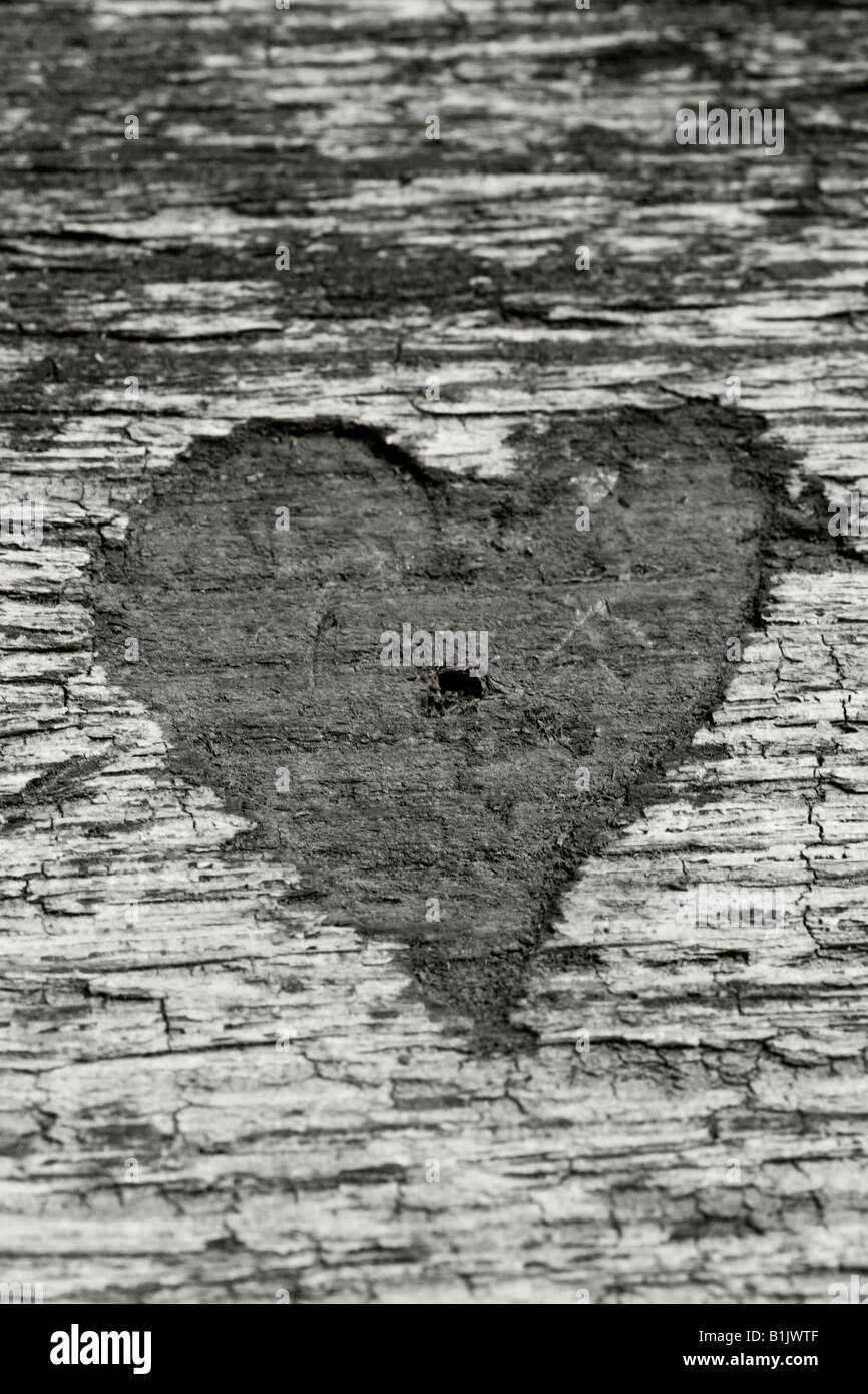 Heart shape carved in Wood Stock Photo