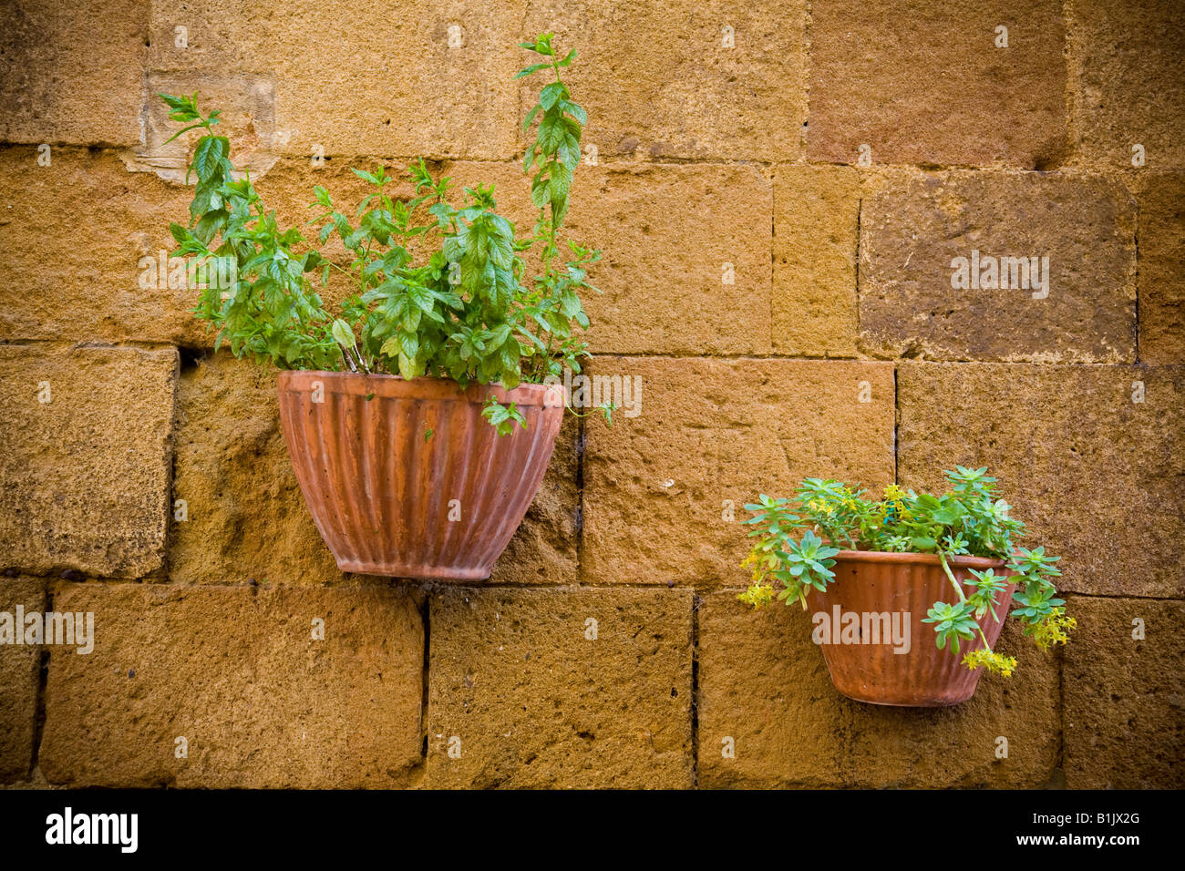 house front with flowers in Tuscany Stock Photo - Alamy