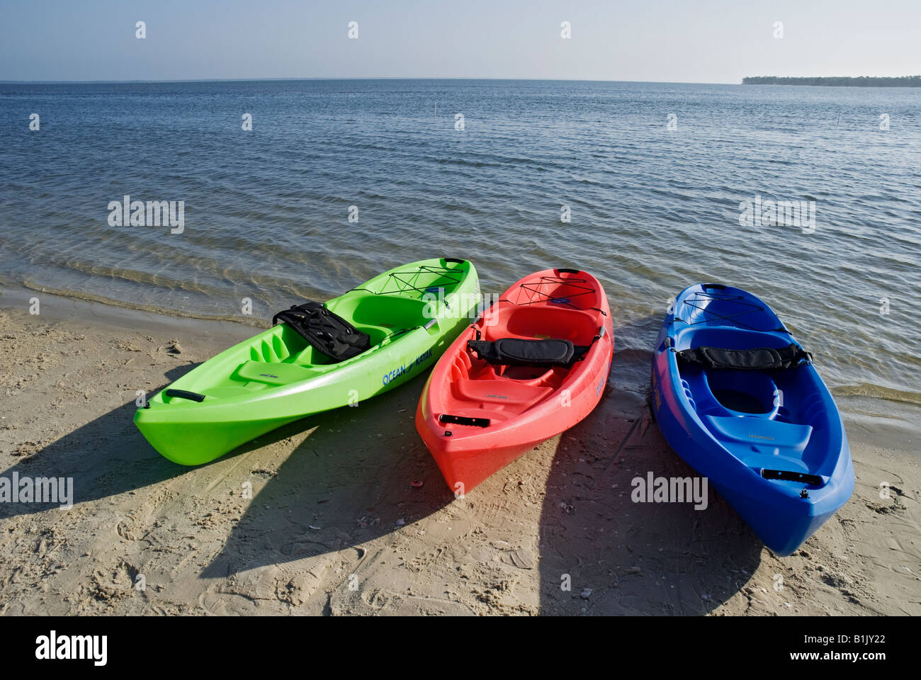 preparing to go kayaking, North Florida Stock Photo