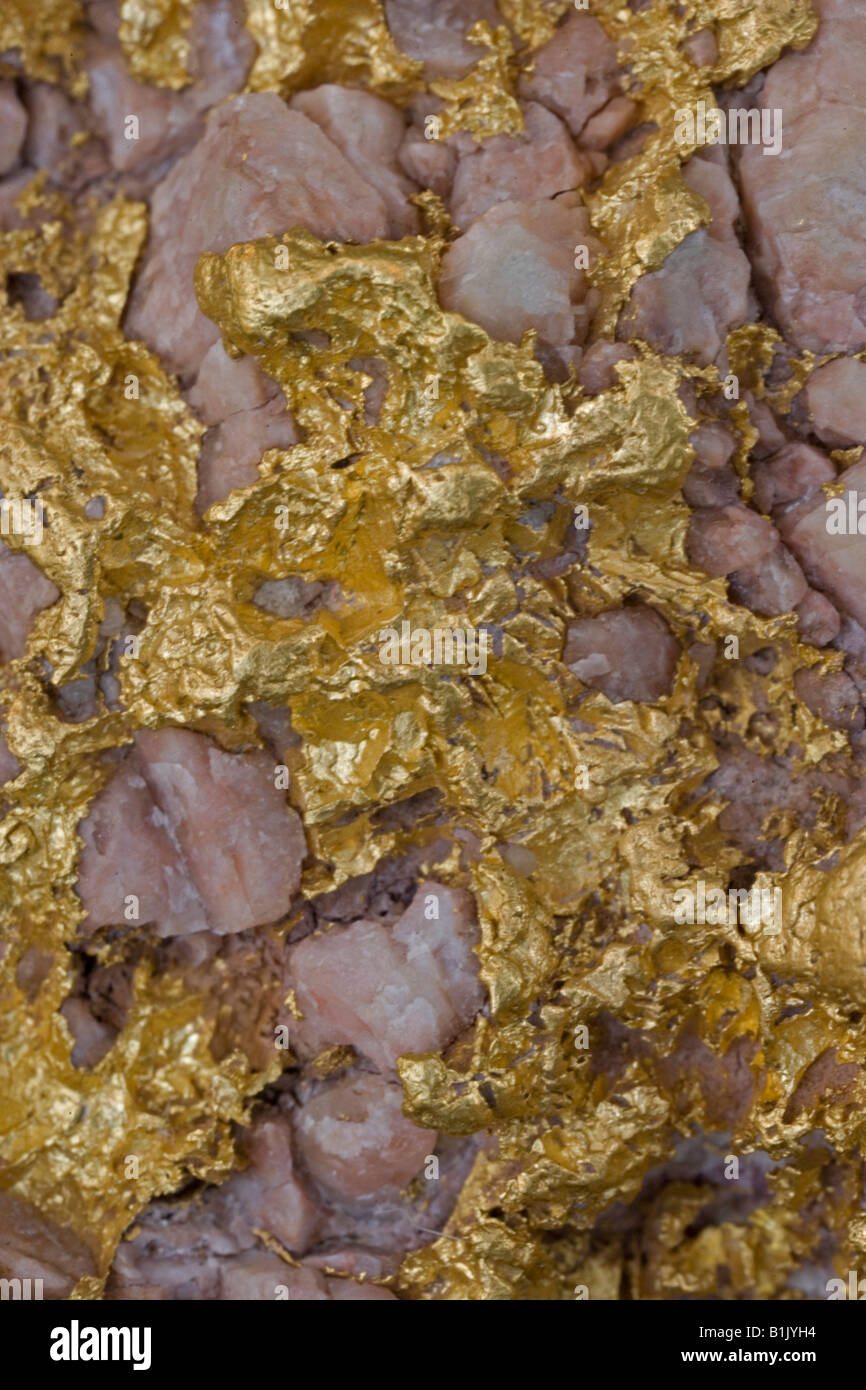 Alluvial Gold Specimen with Rosy Quartz - Western Australia Stock Photo