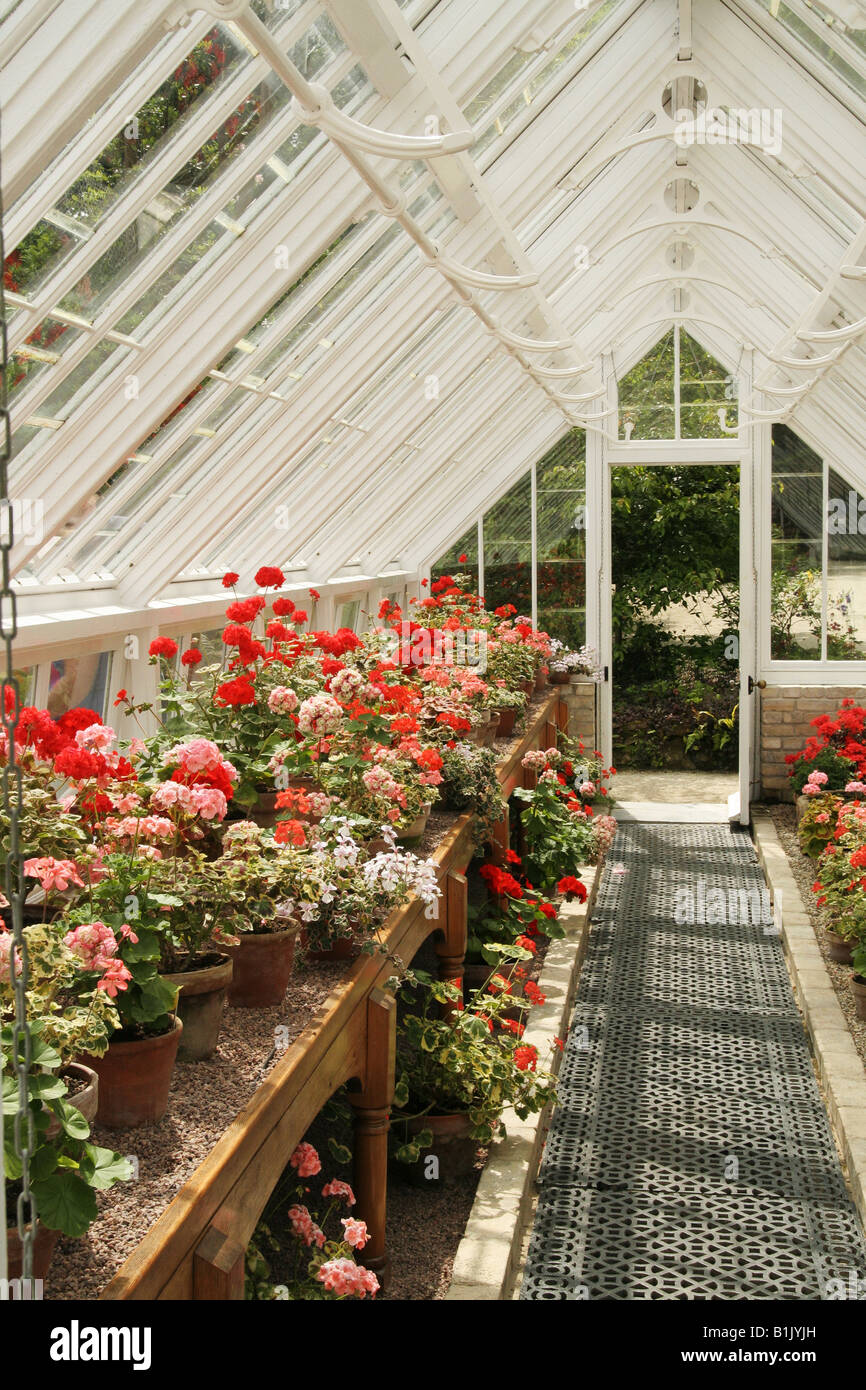 Green House. Glass house, ideal growing conditions, controlled climate