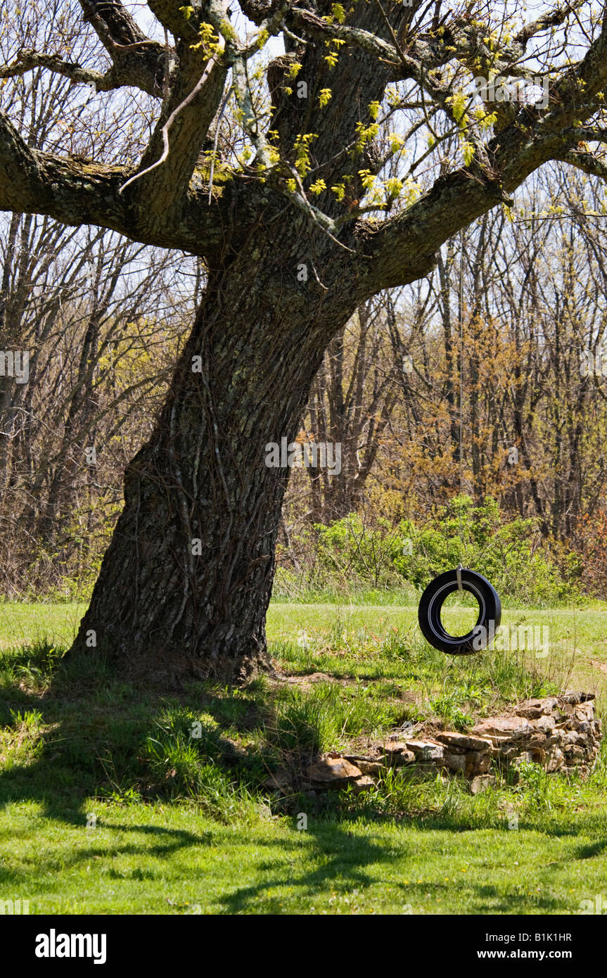 Tire Swing Whitley County Kentucky Stock Photo