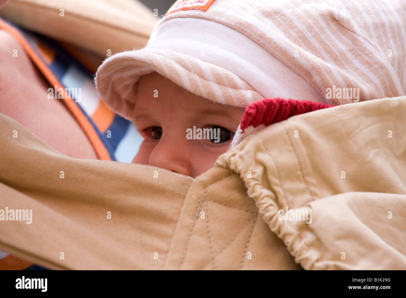 baby in baby sling Stock Photo Alamy