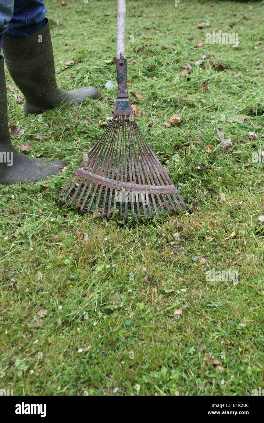 RAKING UP GRASS CLIPPINGS WITH A LAWN RAKE Stock Photo