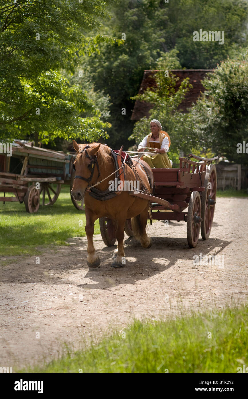 Horse and Cart Stock Photo Alamy