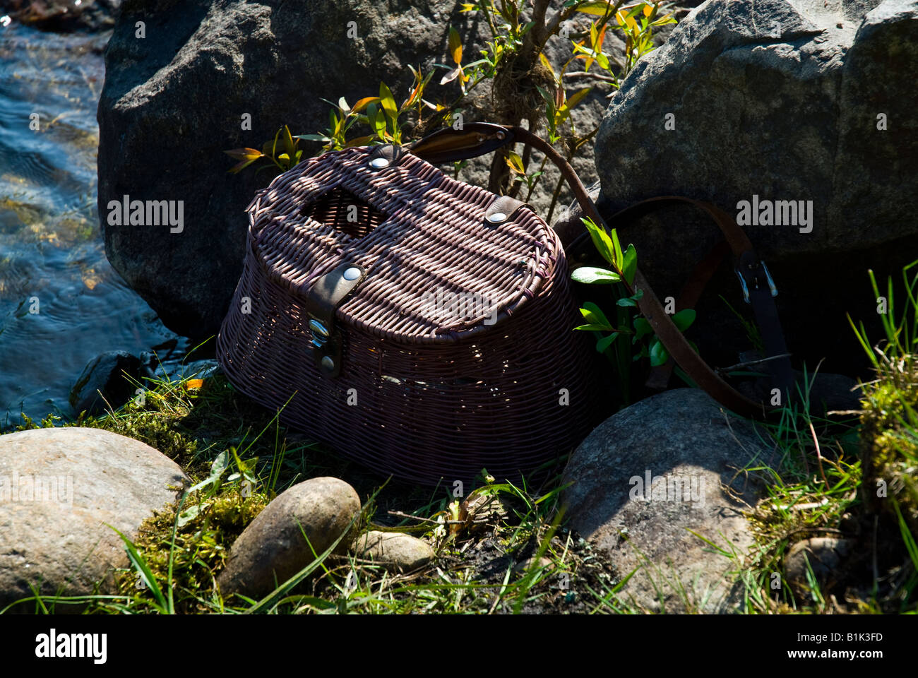 A traditional fishing basket with speckled trout Stock Photo Alamy
