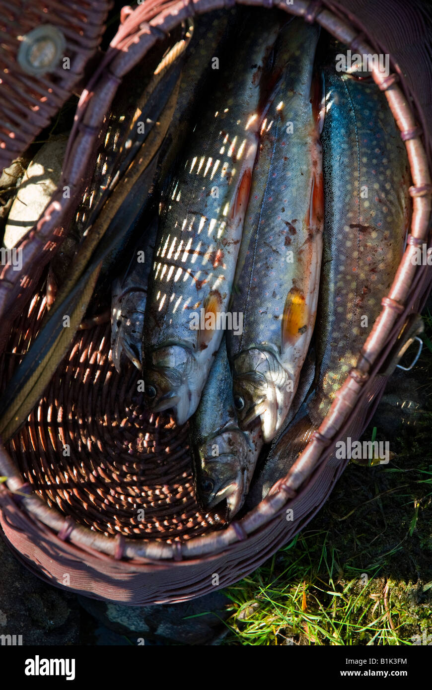 Fishing with a basket hi-res stock photography and images - Alamy