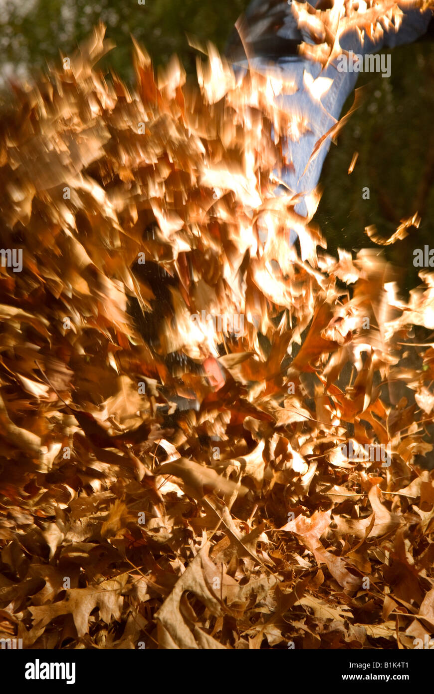 Kicking autumn leaves Stock Photo