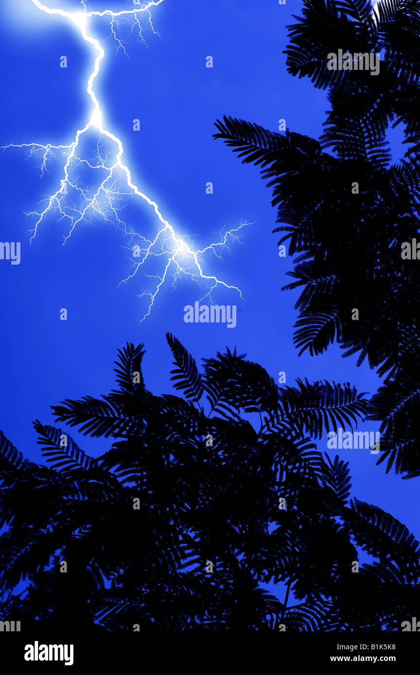 tropical jungle foliage in South American with lightning strike and ...