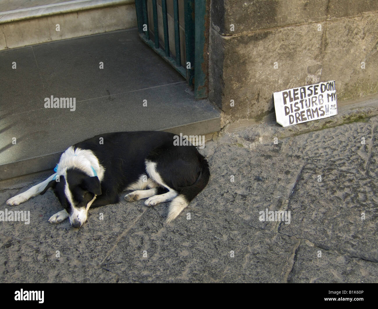 A notice beside a sleeping dog on a street in Sorrento, near Naples, Italy, asking tourists not to pester him Stock Photo