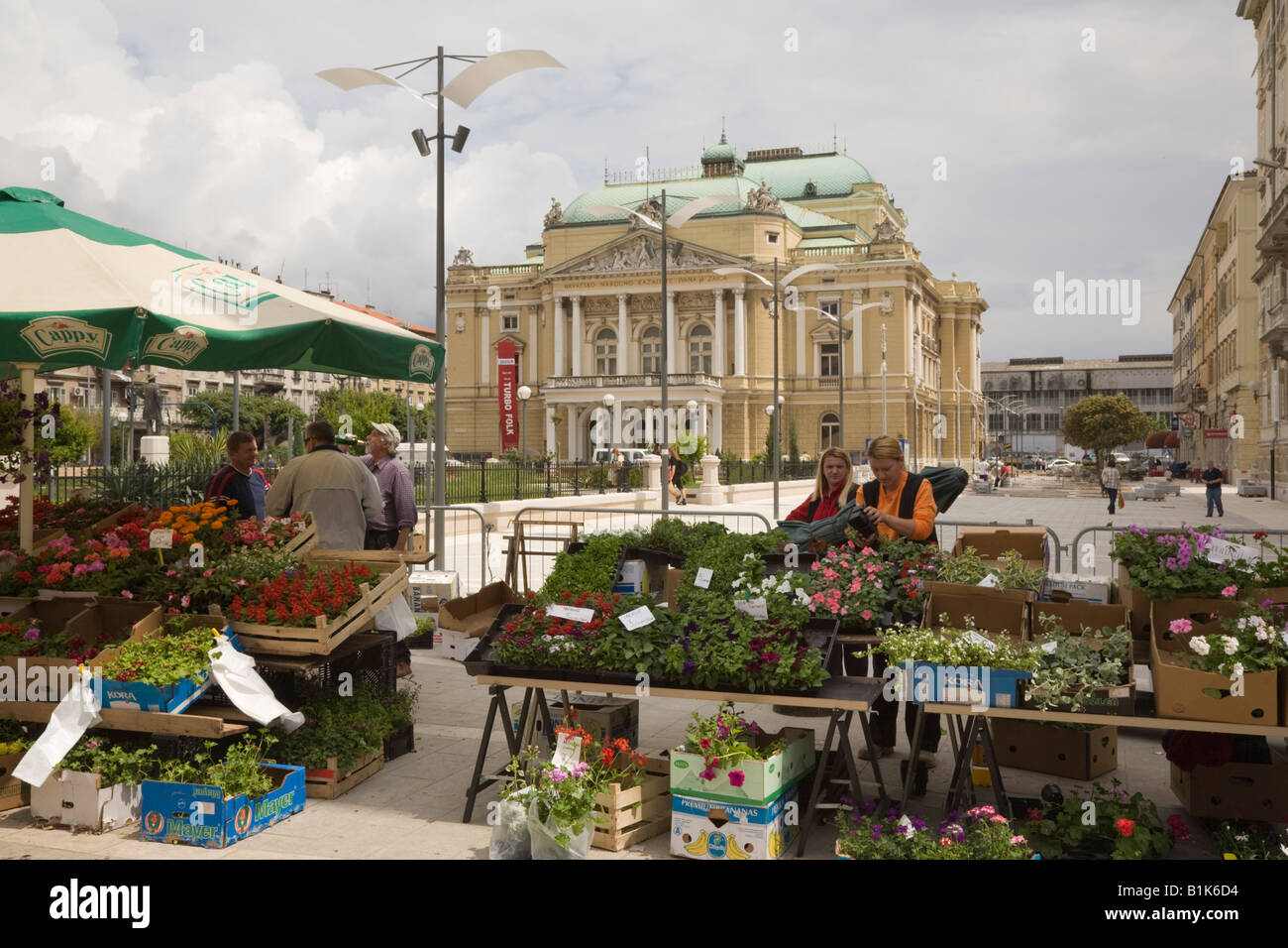 Rijeka Istria Croatia Europe Street market stall selling plants and