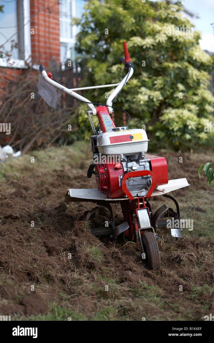 hired petrol driven garden rotavator being used to churn up soil in a garden newtownabbey northern ireland Stock Photo