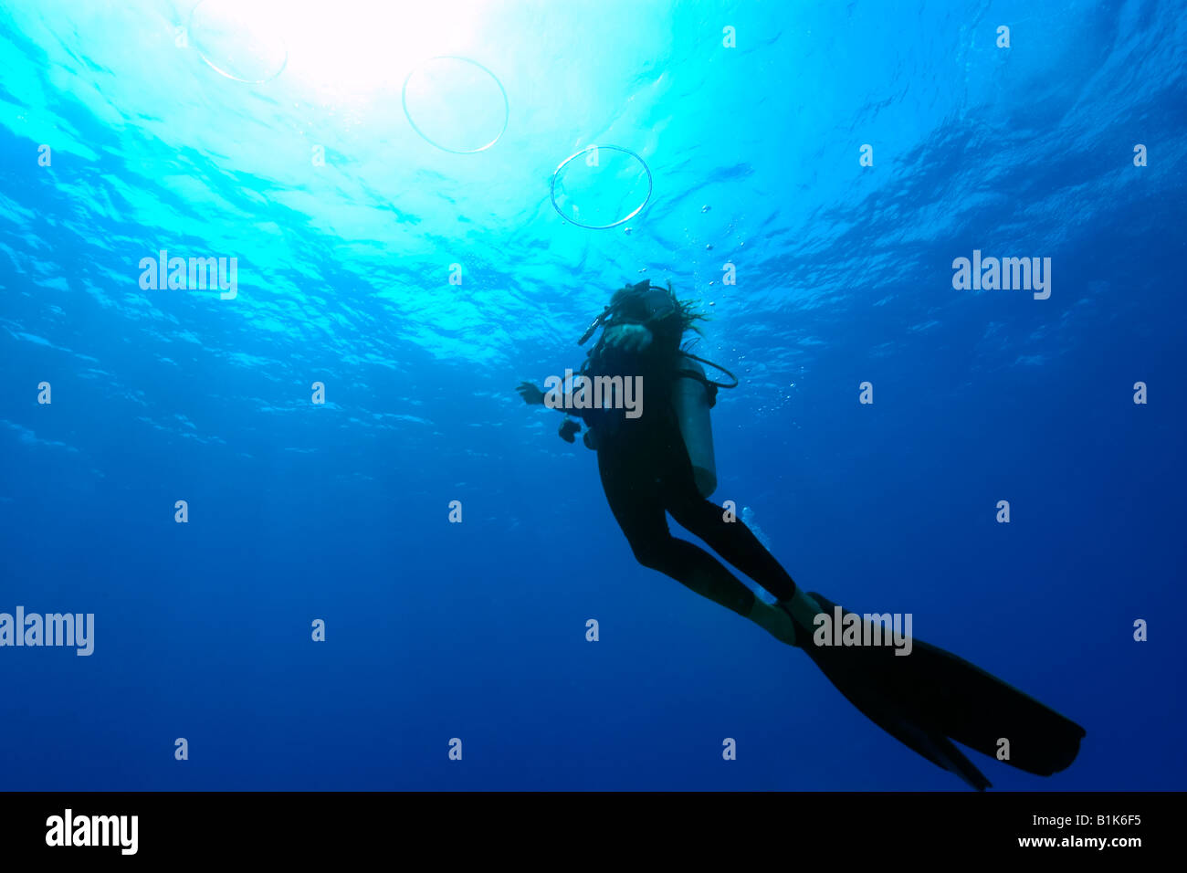 Diver makes bubble rings during deco stop Diver ascends and blows ring