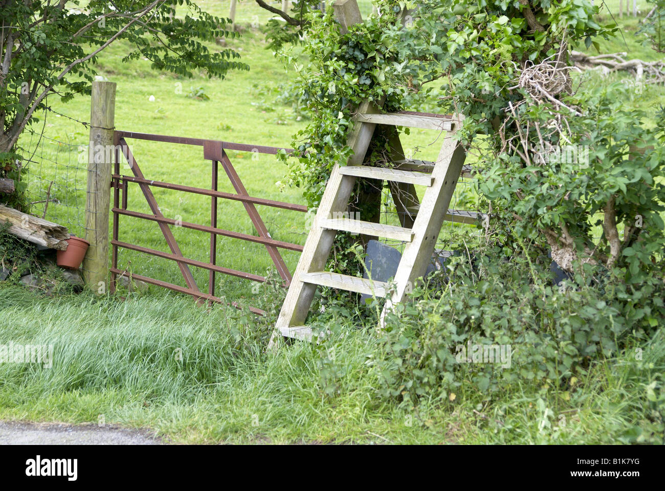Ladder stile and rusty steel farm gate Stock Photo - Alamy