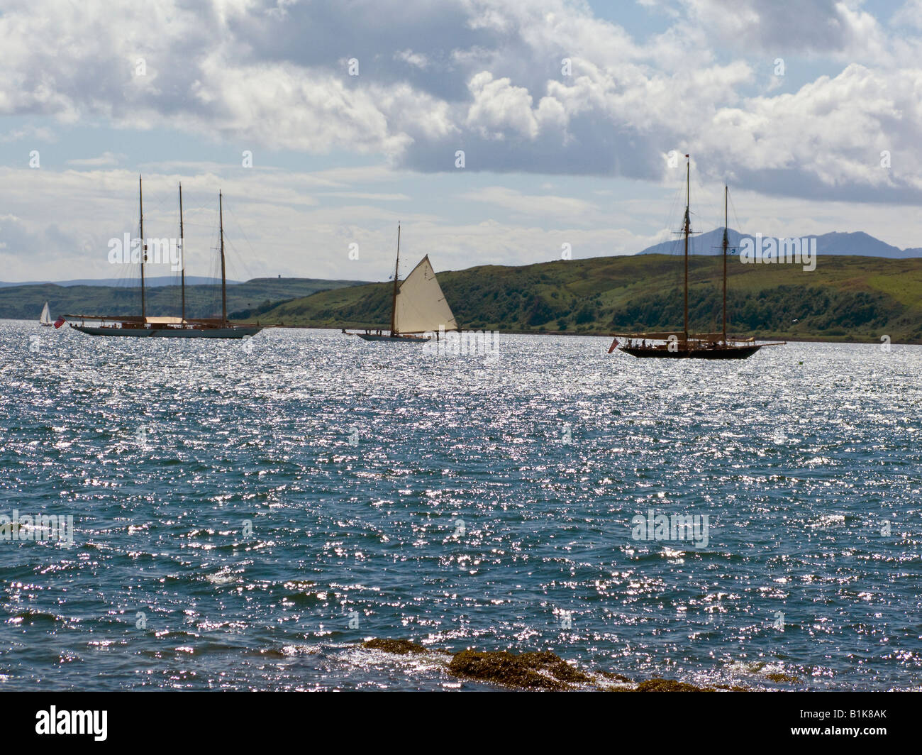 Classic yachts designed by William Fife arriving at Largs Yacht Haven