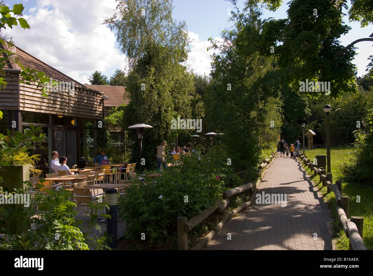 Center Parcs Elveden Forest High Resolution Stock Photography and