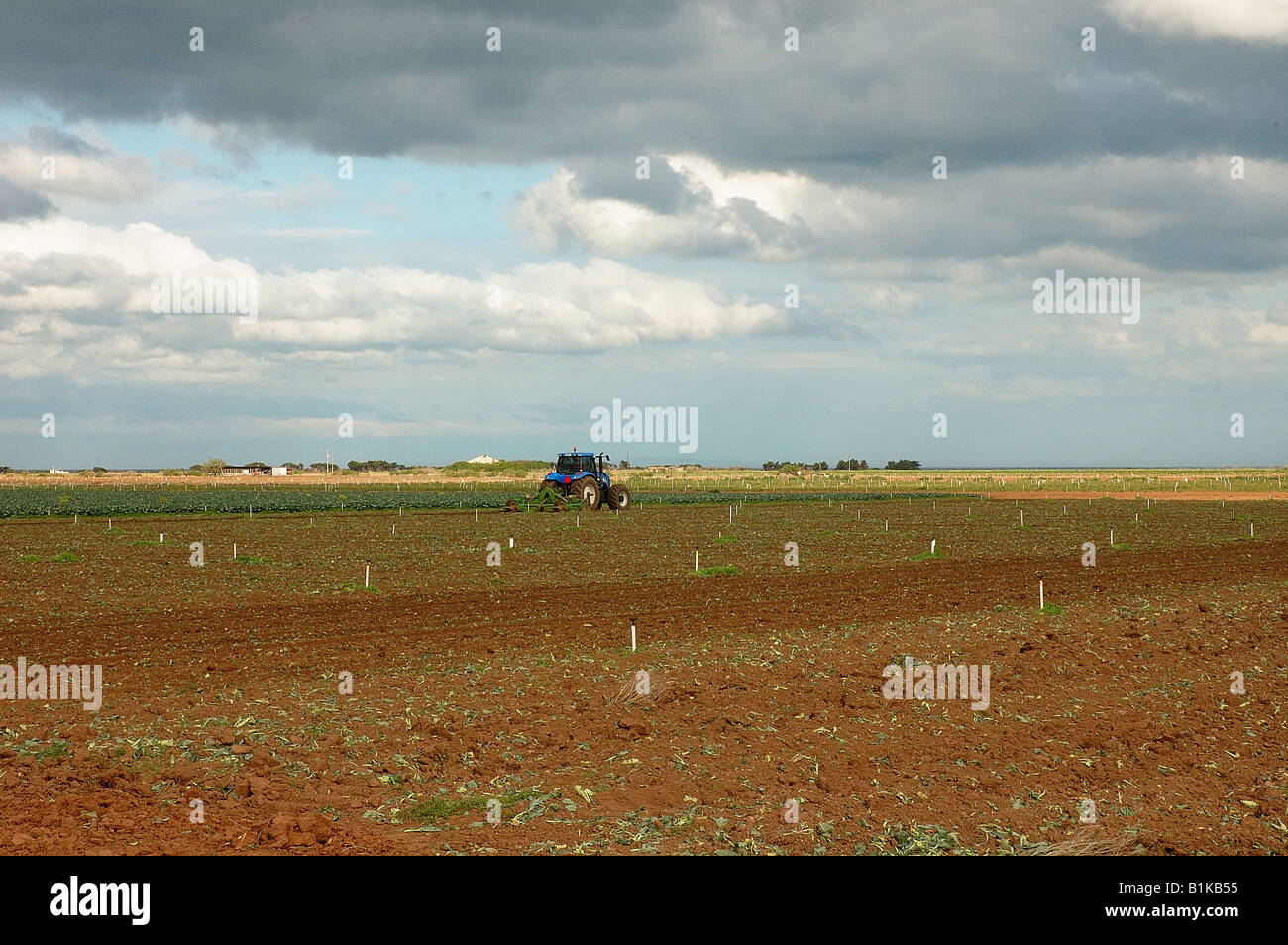 Cultivated farm land hi-res stock photography and images - Alamy