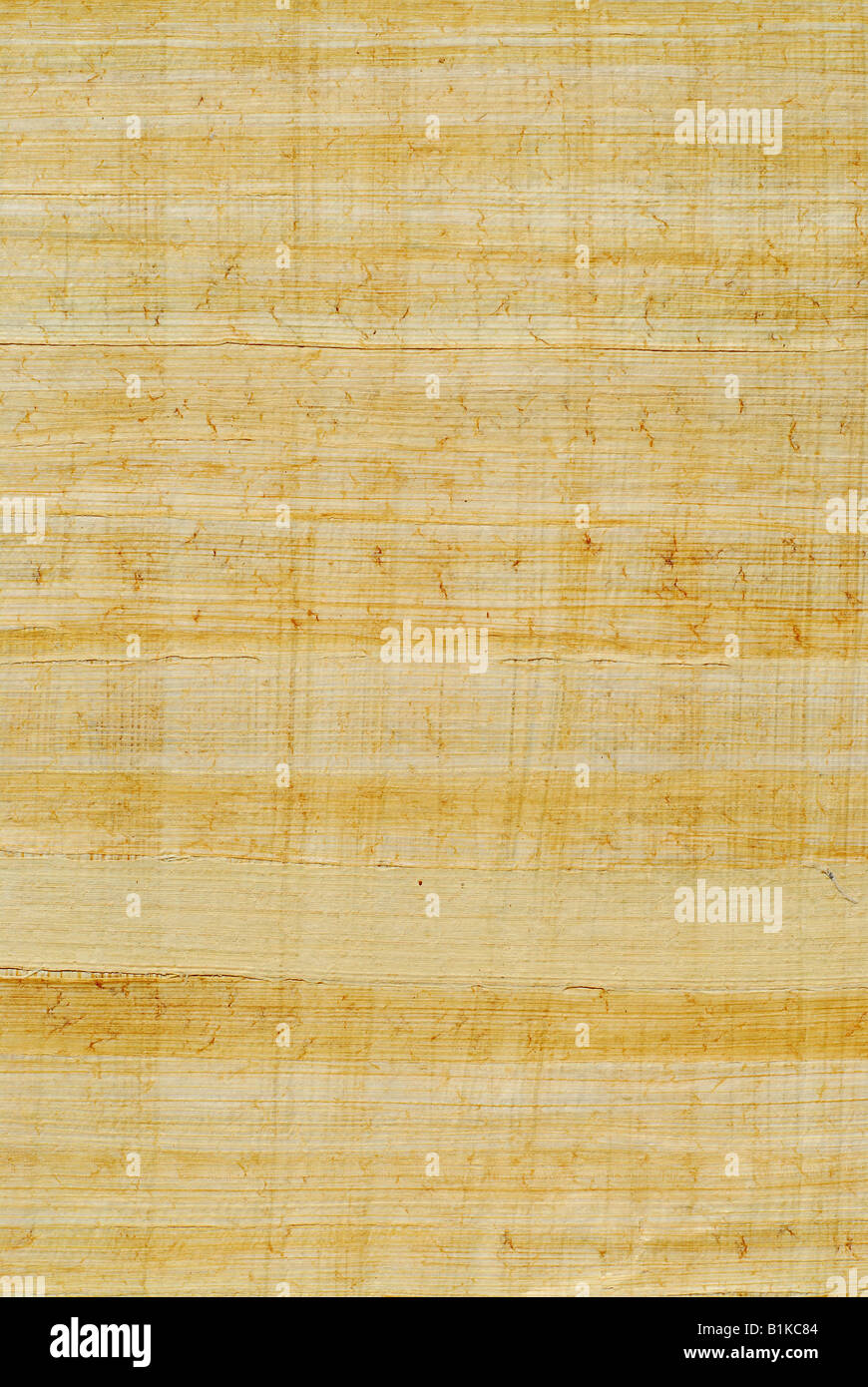 Papyrus surface hi-res stock photography and images - Alamy