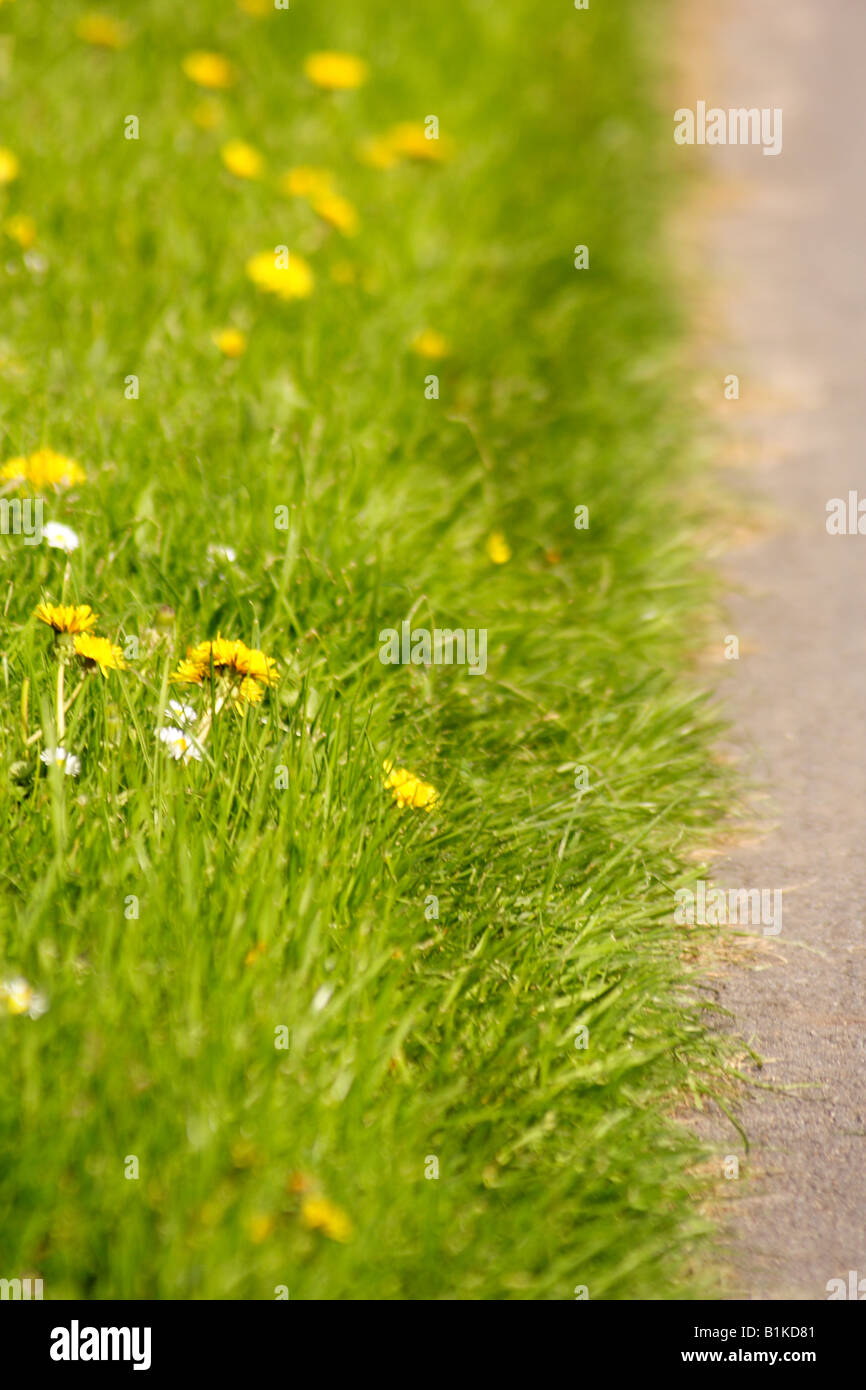 Springway hi-res stock photography and images - Alamy