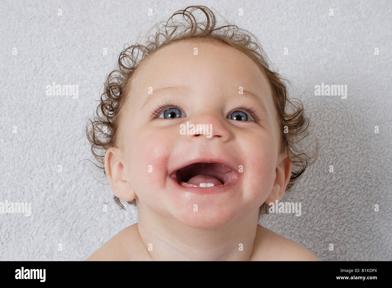 Bottom teeth hires stock photography and images Alamy