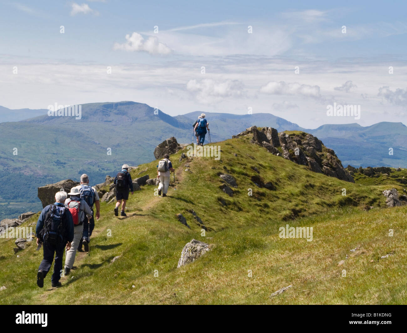 Group of Welsh ramblers walking on ridge path on Moelwyn Mawr in Snowdonia National Park in summer. North Wales UK Britain Stock Photo